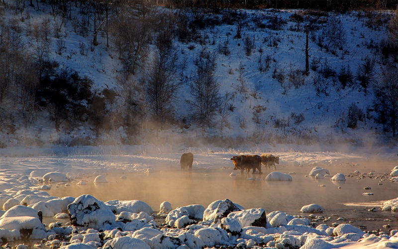 hk_c_內蒙古興安盟阿爾山不凍河 陸春南.jpg