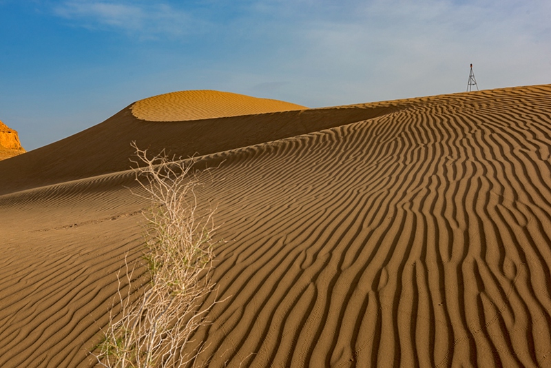 hk_c_生態生命 克拉瑪依 田國建.jpg