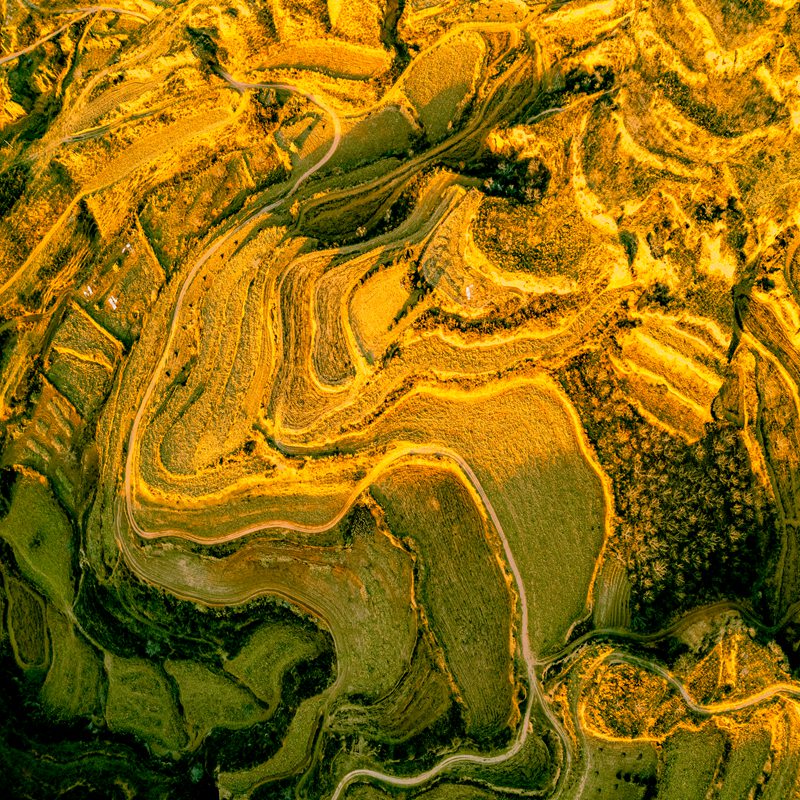 hk_c_大地萬象 嚴保剛.jpg