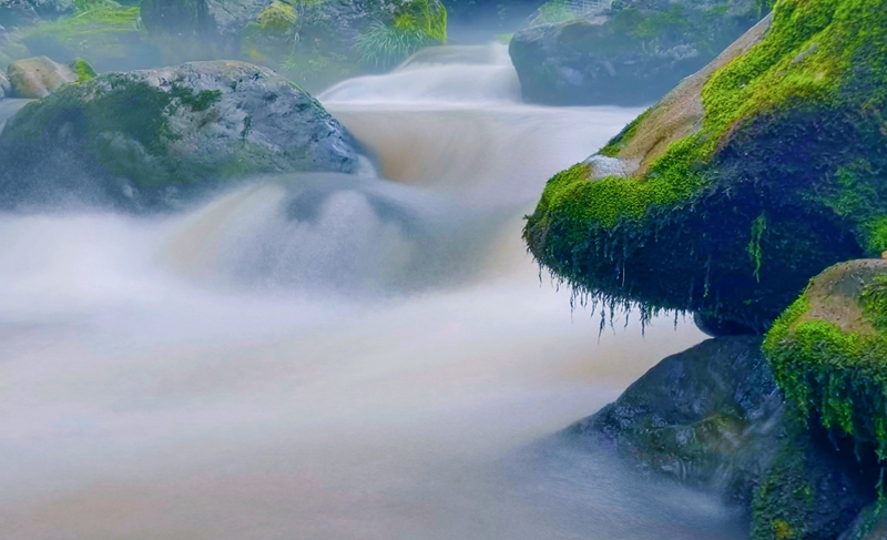 hk_c_清溪石蘚  四川洪雅縣 江衛平.jpg