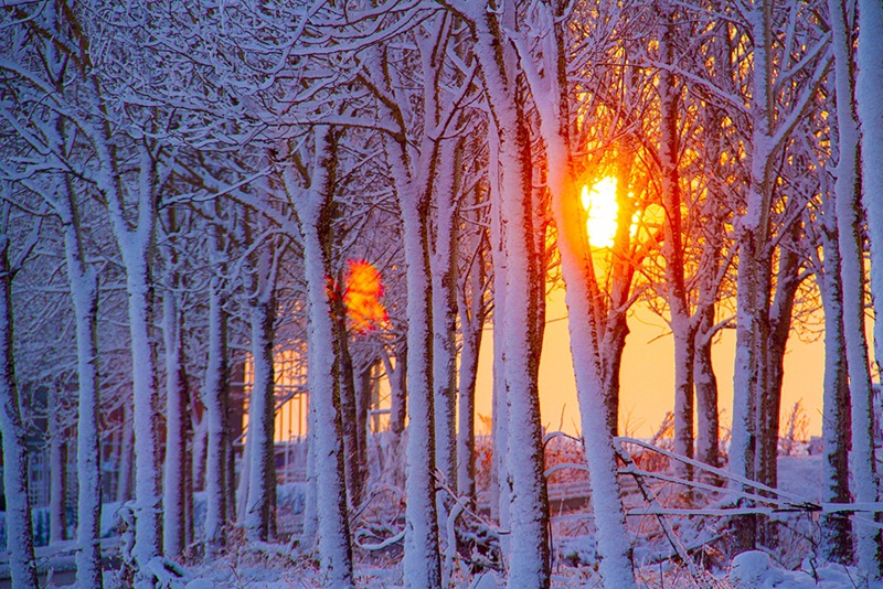 hk_c_冬之韻2 司兵.jpg