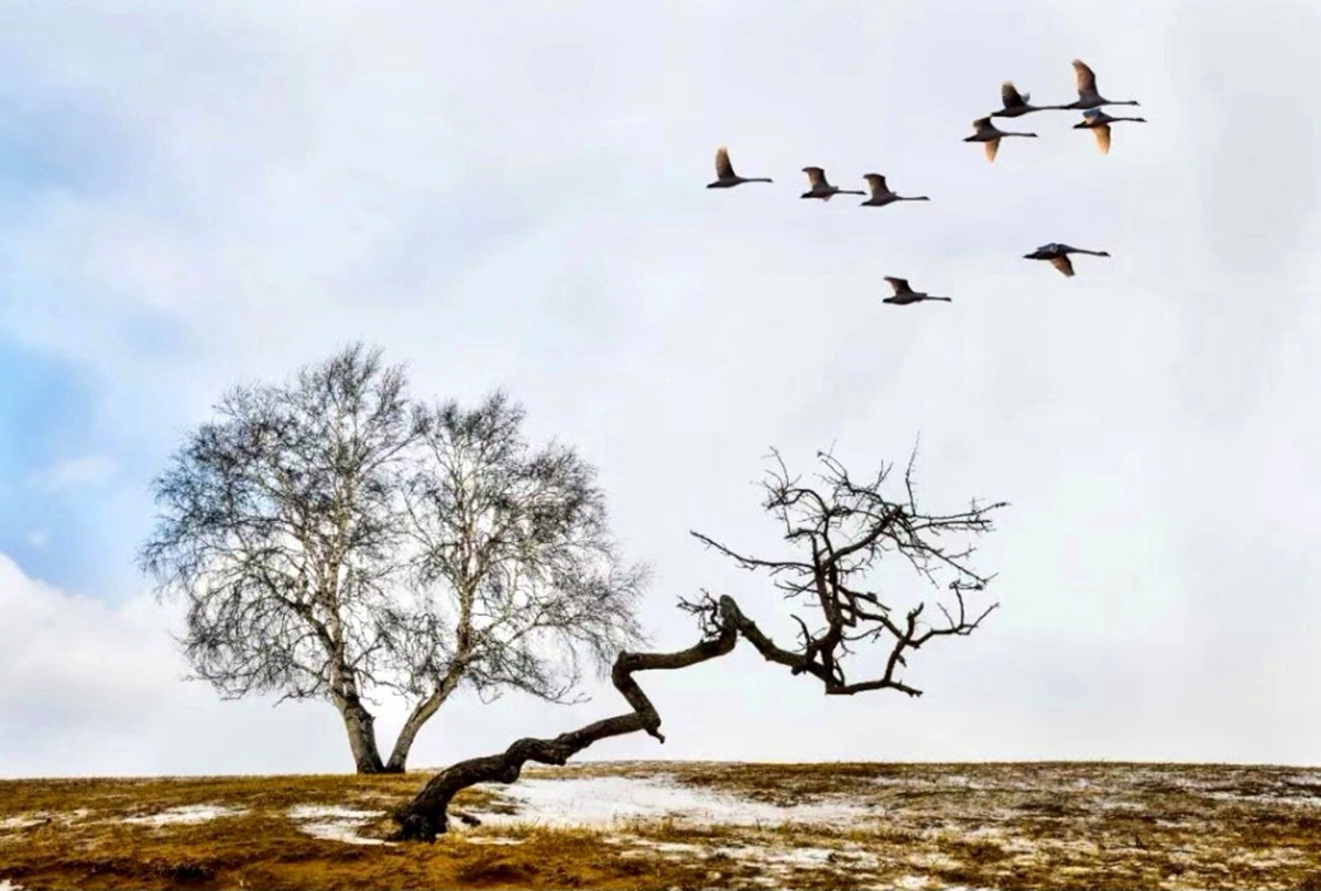 hk_c_草原印象 吉久利.jpg