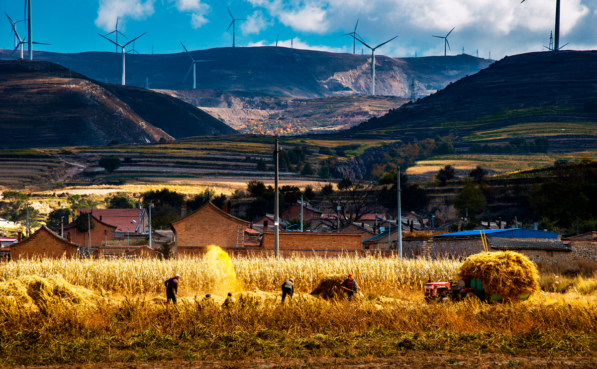 hk_c_豐收季節 嚴保剛.jpg