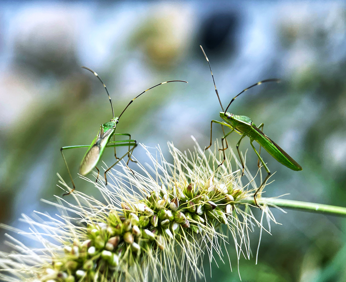 hk_c_針尖對話 錢國強.jpg
