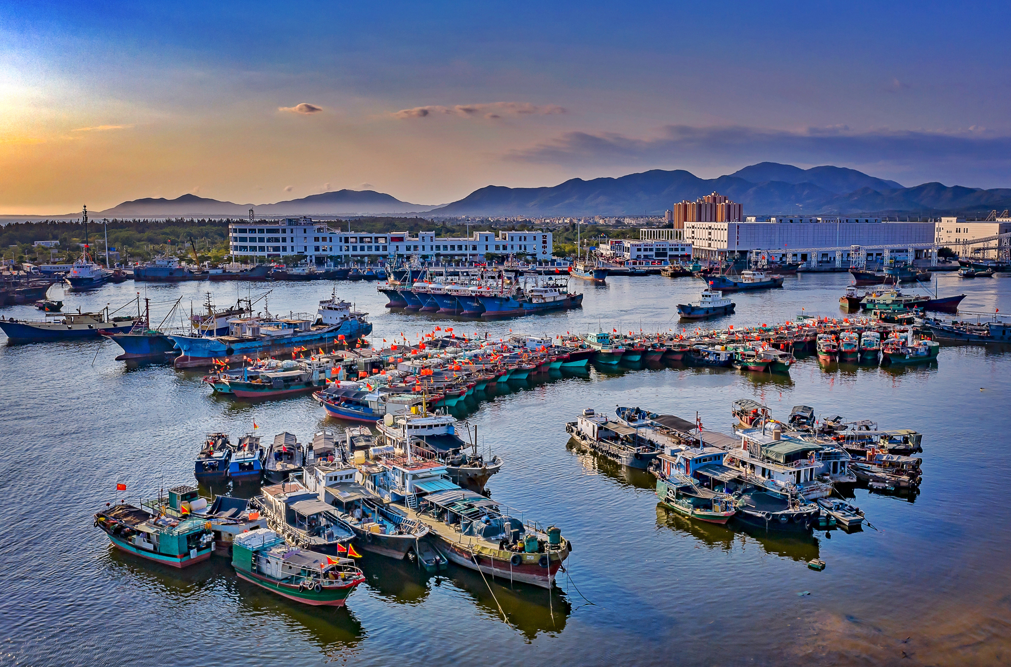 hk_c_1672986282766042752.jpeg hk_c_海南崖州港 黃力生.jpeg