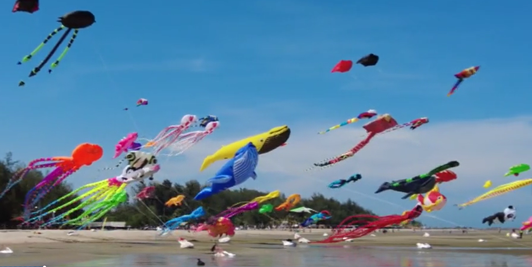 hk_c_泰國風箏節 中新視頻截圖.png