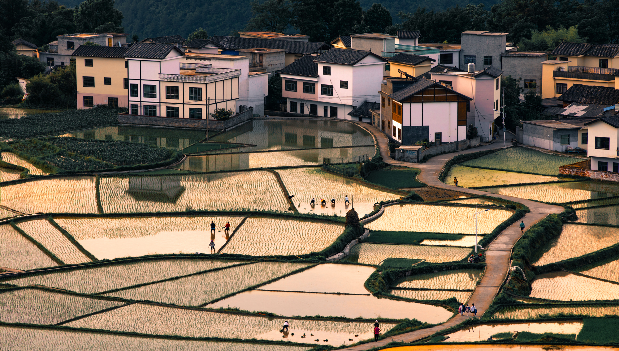 hk_c_貴州貴陽花溪高坡 楊軍.jpg