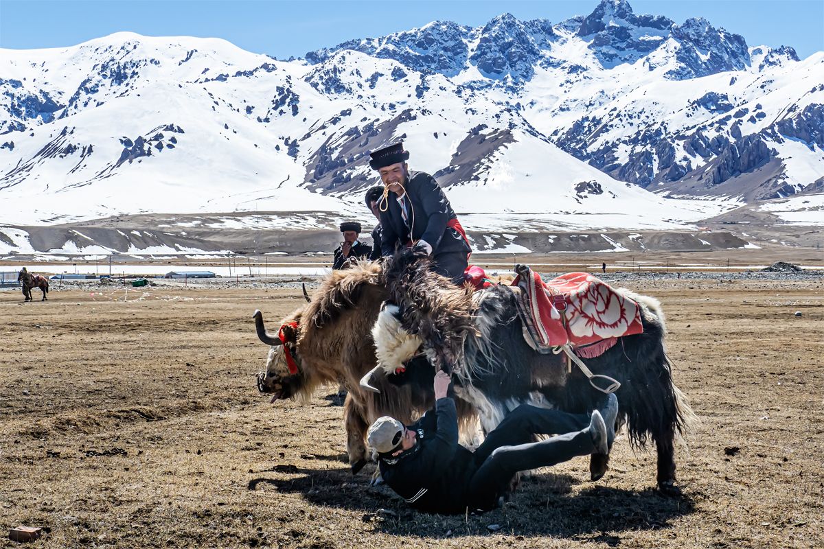 hk_c_冰山上的叼羊 喀什塔縣，海拔4000米的冰山下，塔吉克人騎着氂牛進行叼羊 陸春南.jpg
