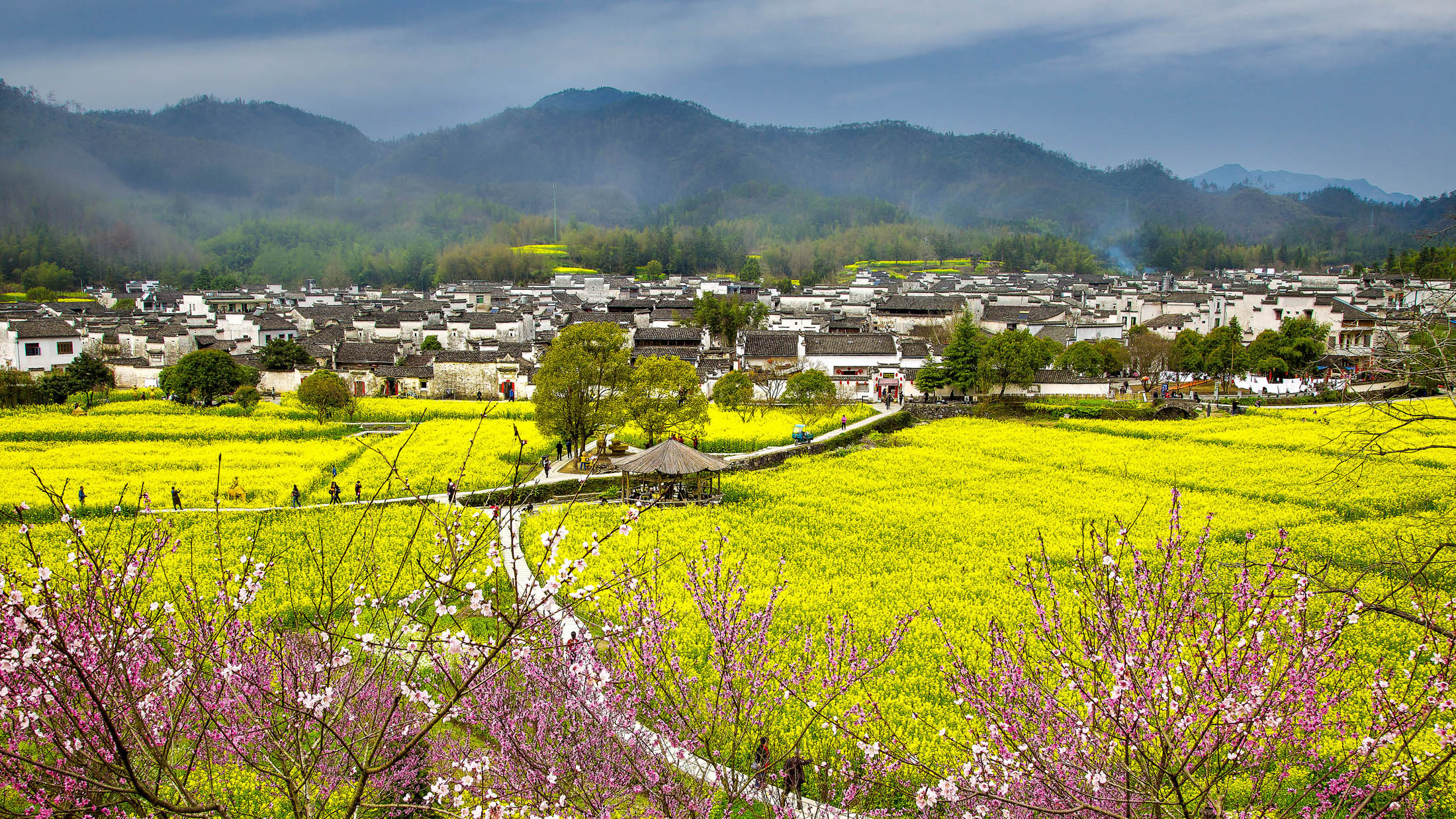 hk_c_西遞 許金梅.jpg