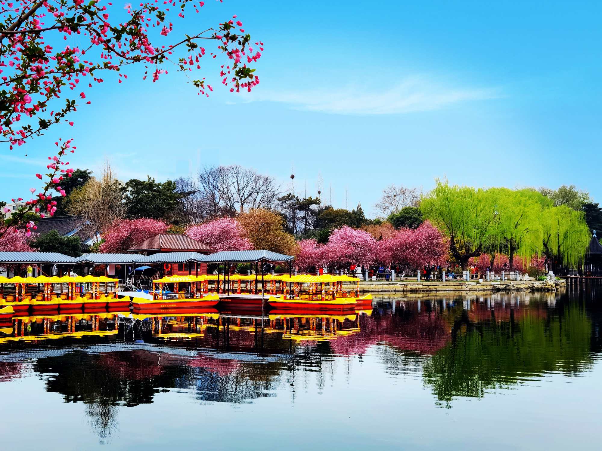 hk_c_莫愁湖春色 龍兒.jpg