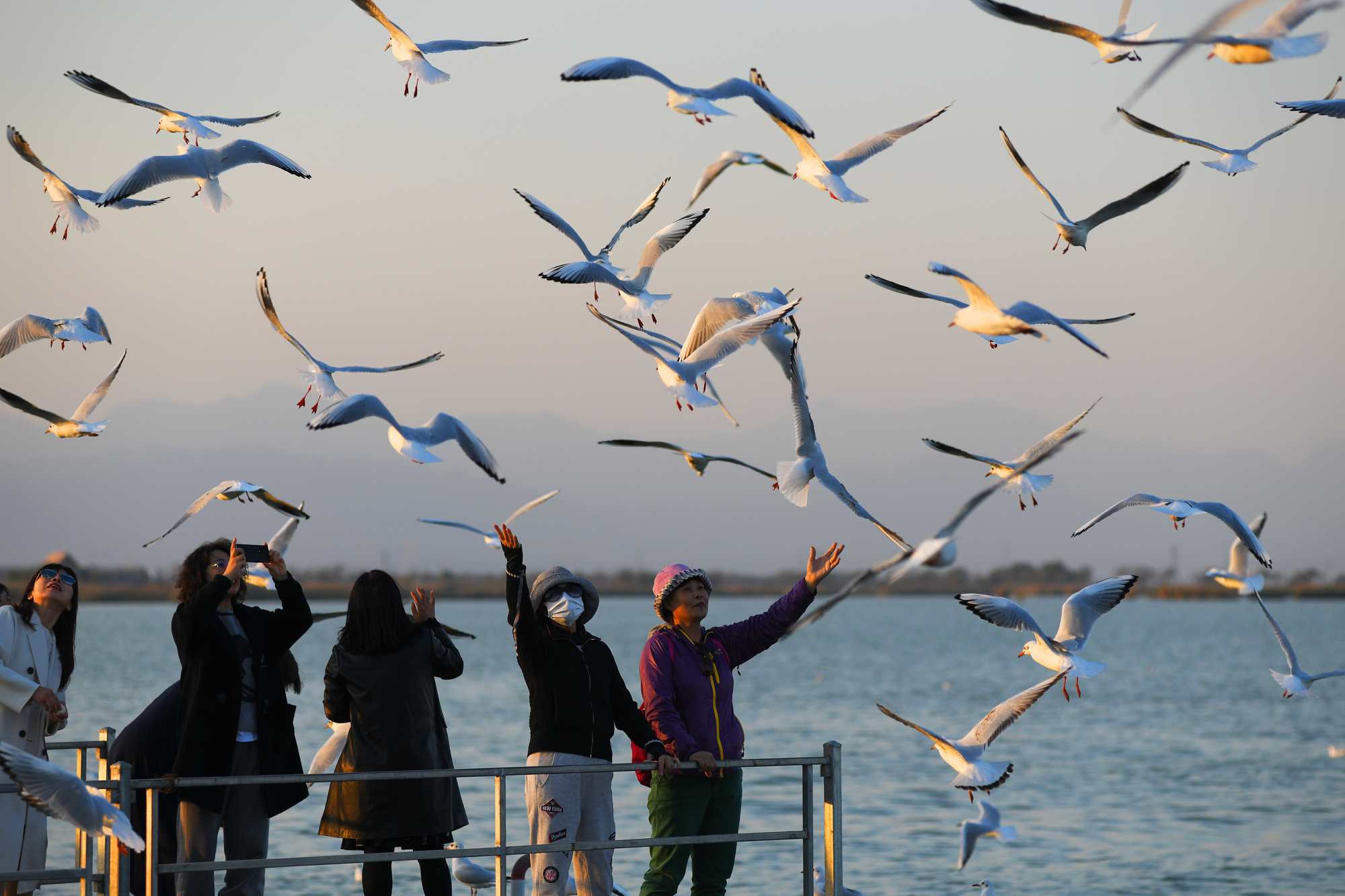 hk_c_寧夏沙湖 王建樂.jpg