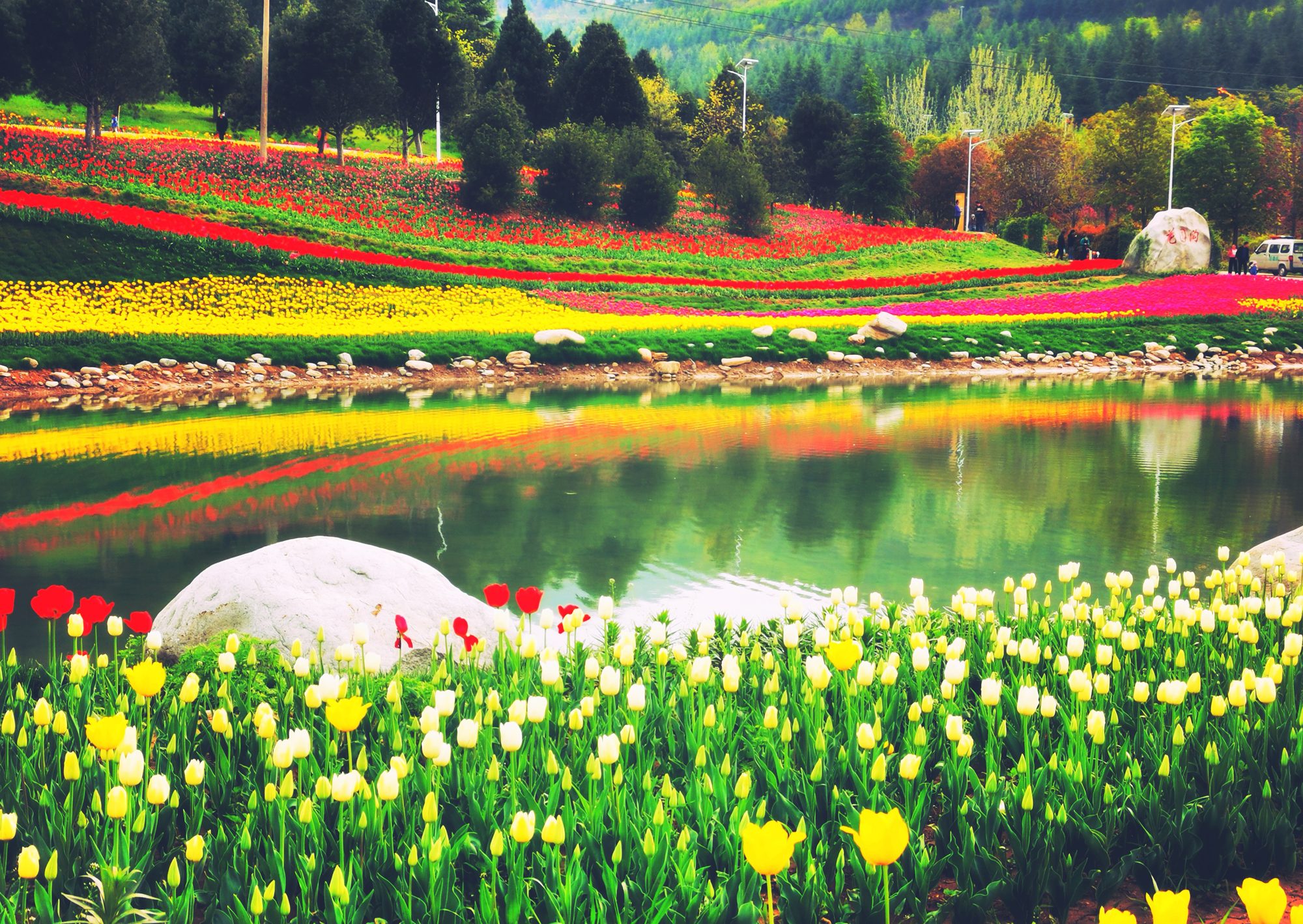 hk_c_秦嶺國家植物園 楊君莉.jpg