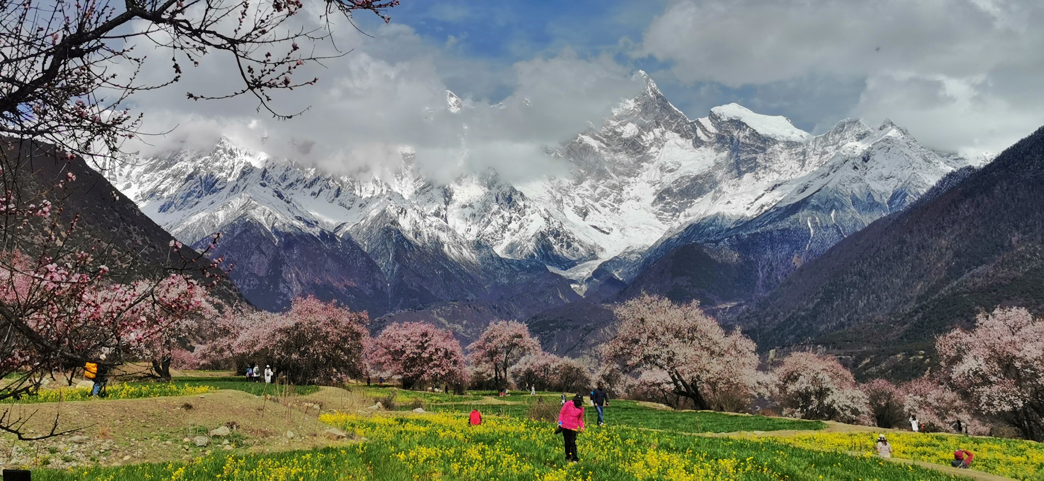 hk_c_林芝波密 陳鴻鈞.jpeg